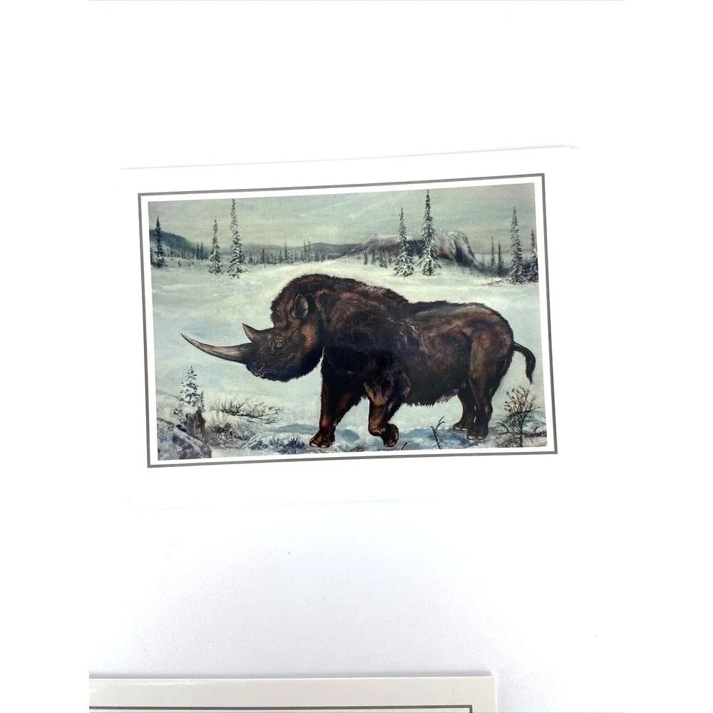 Lot of 8 Prehistoric Dinosaur Fine Art Notecards with Envelopes Josef Moravec